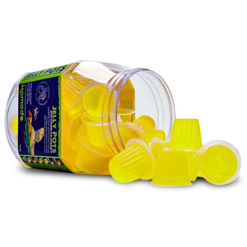 Pot Jelly Komodo Ananas pour reptiles