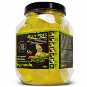 Pot Jelly Komodo Ananas pour reptiles