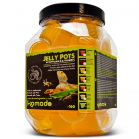 Komodo Jelly Pot sabor laranja