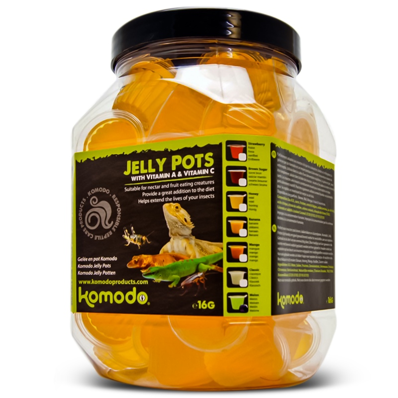 Komodo Jelly Pot Orange for reptiles and insects