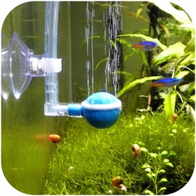 Aqua Sucker 6mm Suction Cup