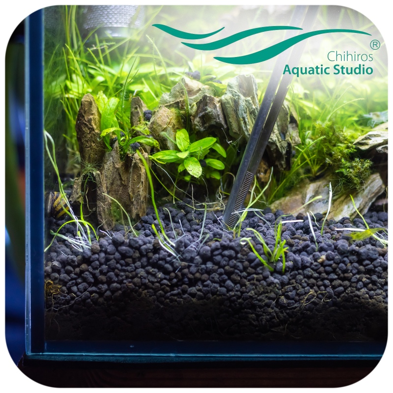 Chihiros Aqua Soil 3l - Substrat für Pflanzen