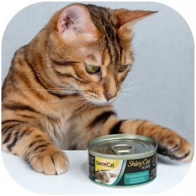 GimCat ShinyCat in Jelly - cat food