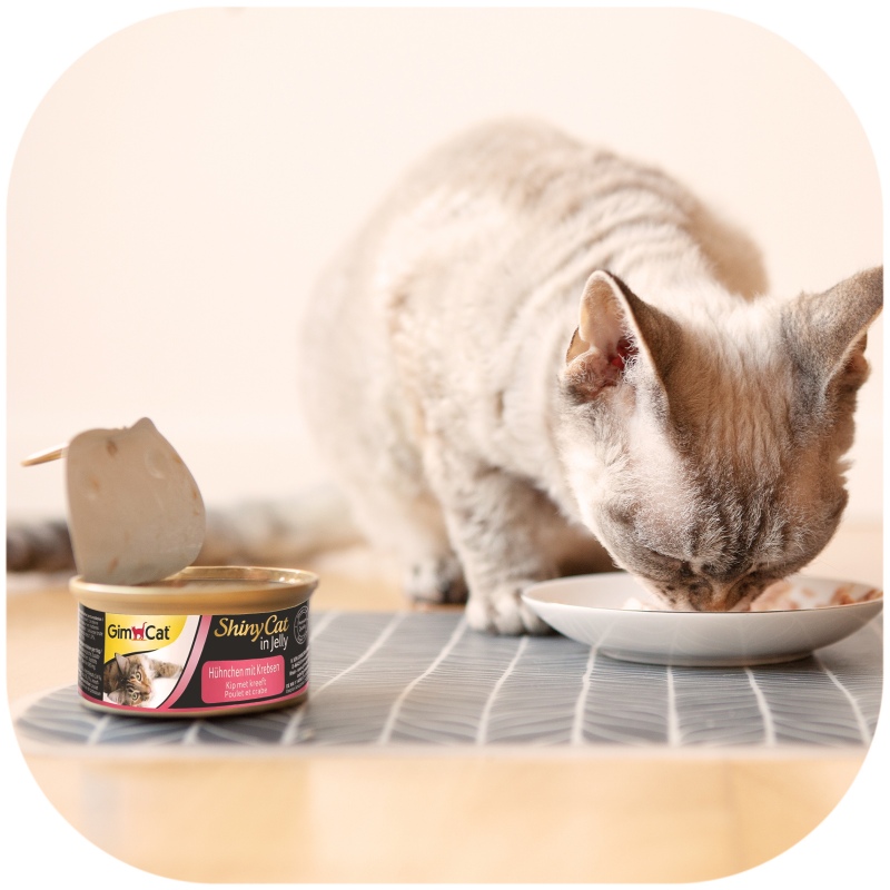 GimCat ShinyCat en Gelatina - 70g