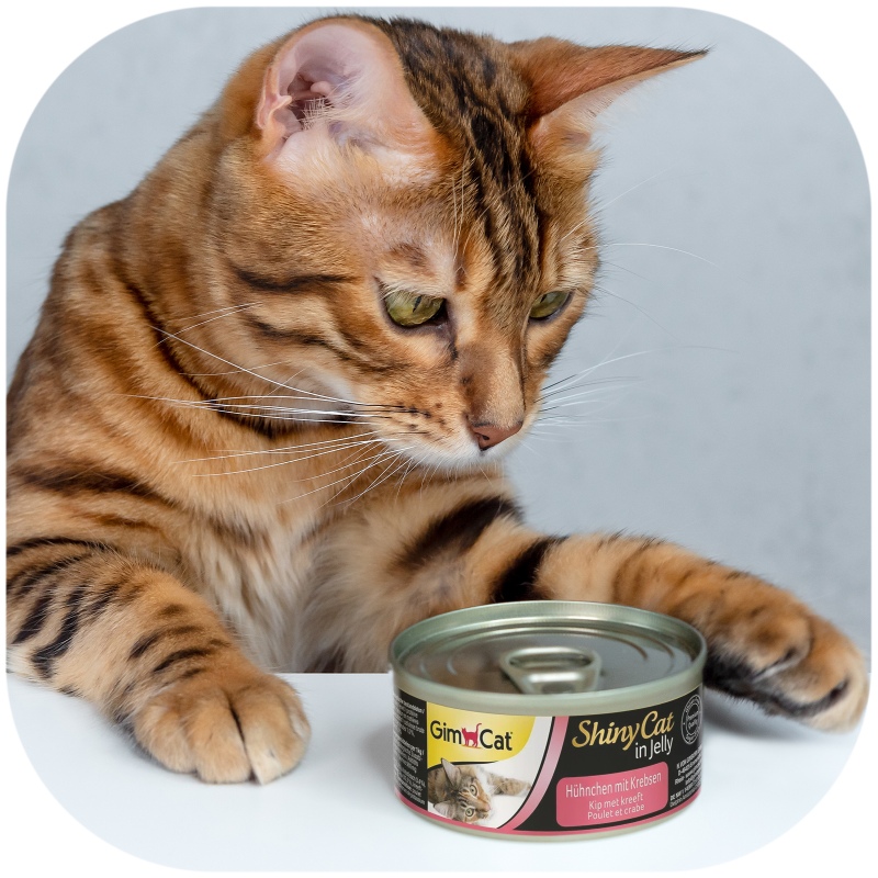 GimCat ShinyCat en Gelatina - 70g