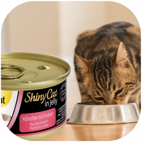 GimCat ShinyCat en Gelatina - 70g