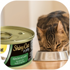 GimCat ShinyCat em Gelatina 70g