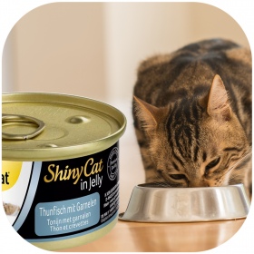 GimCat ShinyCat Tuna and Shrimp 70g