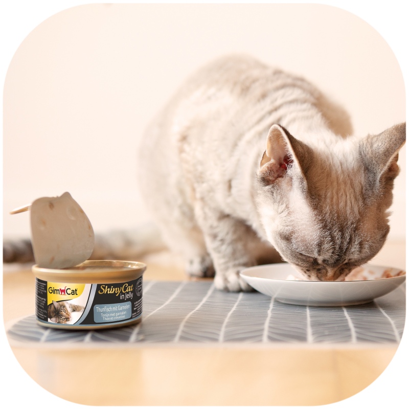 GimCat ShinyCat Tuna and Shrimp 70g