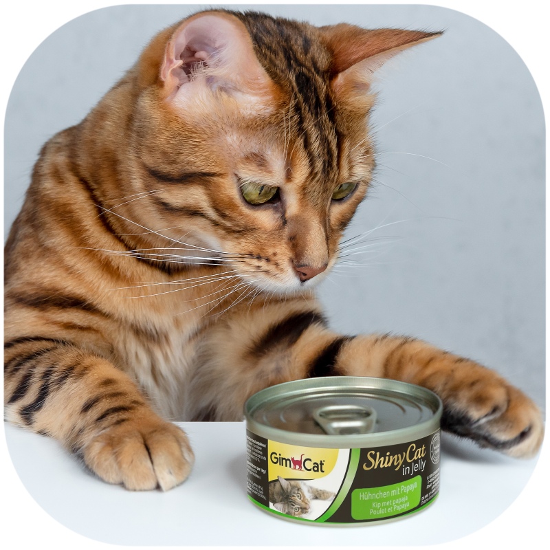 GimCat ShinyCat Huhn und Papaya 70g