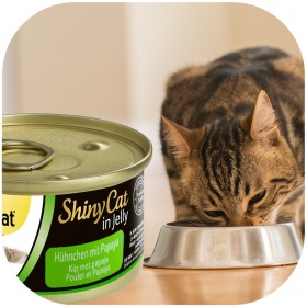 GimCat ShinyCat Huhn und Papaya 70g