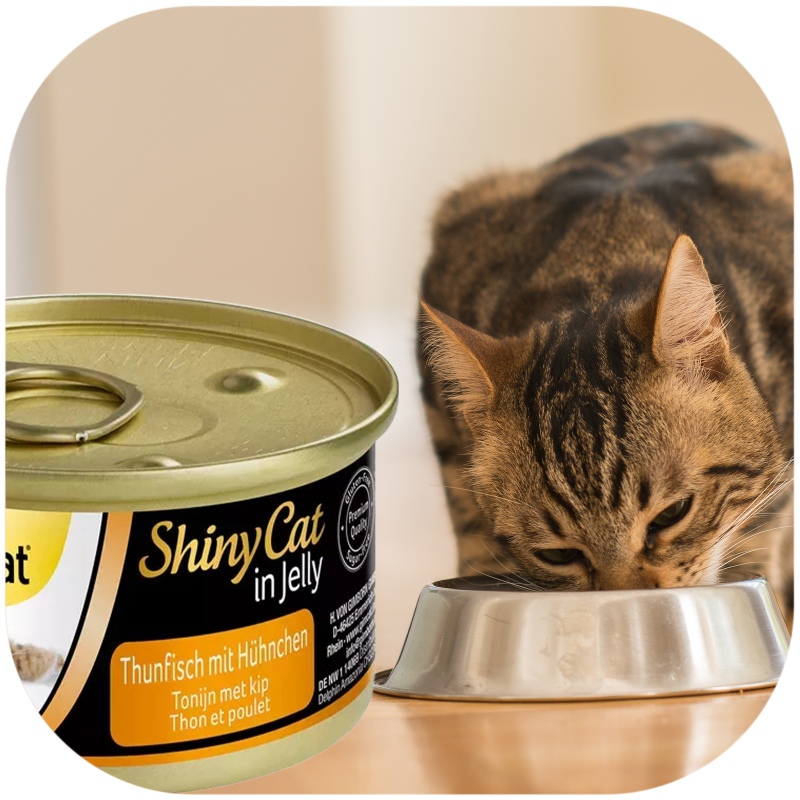 Ração GimCat ShinyCat em Gelatina 70g