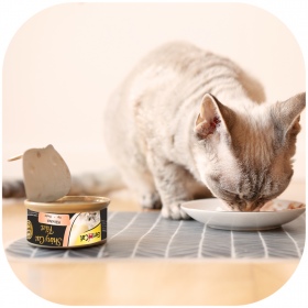 GimCat ShinyCat Filet - Nourriture Poulet Bouillon