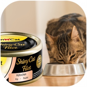 GimCat ShinyCat Филе - Корм курица 70г