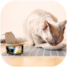 GimCat ShinyCat Filet - Thon Cuit 70g