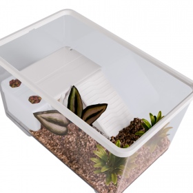 Sunsun Turtle Water Box M - Akvarium for skilpadde