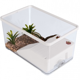 Sunsun Turtle Water Box M per tartarughe