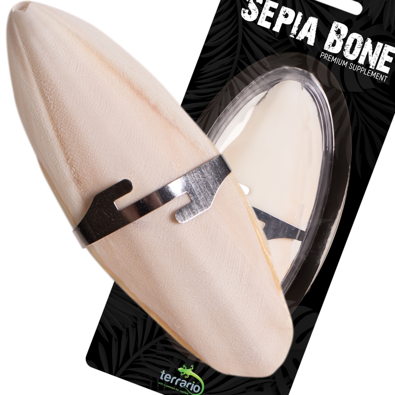 Terrario Sepia Bone - Naturalne dla zwierząt