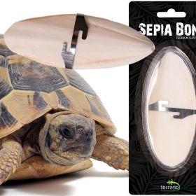 Terrario Sepia Bone for reptiles and pets