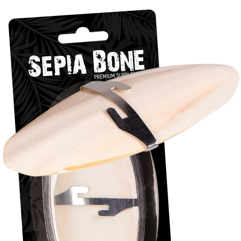 Terrario Sepia Bone - embalagem de 24 peças