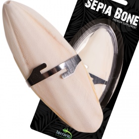 Terrario Sepia Bone - 24 pezzi