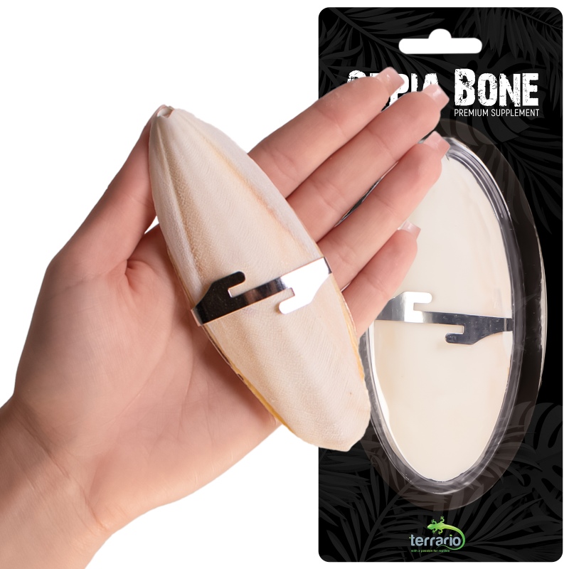 Terrario Sepia Bone - embalagem de 24 peças