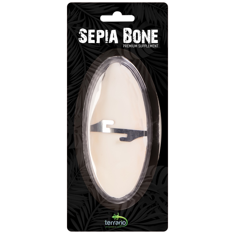 Terrario Sepia Bone - naturlig kalciumkälla