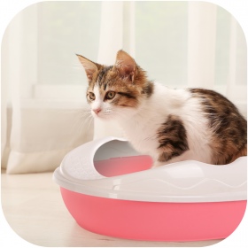 Caja de arena Purrfect Point Pink con pala