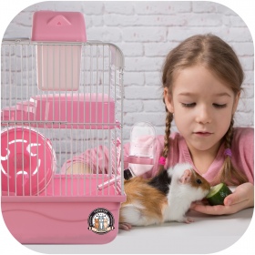 Miku Homie L Pink Cage for Small Rodents