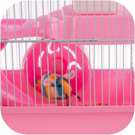 Miku Homie Pink Cage for Small Rodents