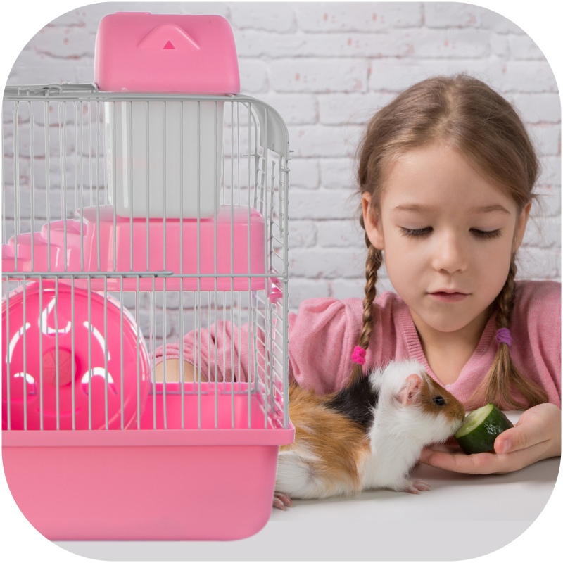 Miku Homie Pink Cage for Small Rodents