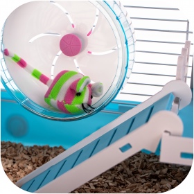 Miku Canals Blue Rodent Cage Complete Set