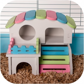 Furrever Friends Holiday Mouse-House for rodents