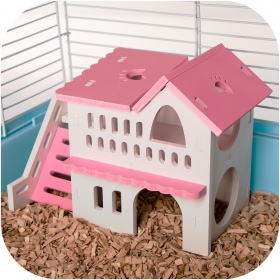 Maison pour souris et hamsters