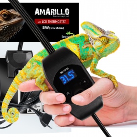 Terrario Amarillo 5W - mata grzewcza z termostatem LCD