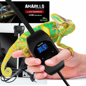 Terrario Amarillo kütteplaat LCD termostaadiga