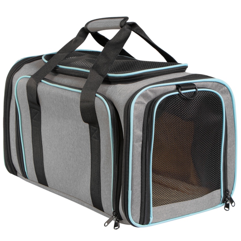 Furrever Friends collapsible carrier for pets