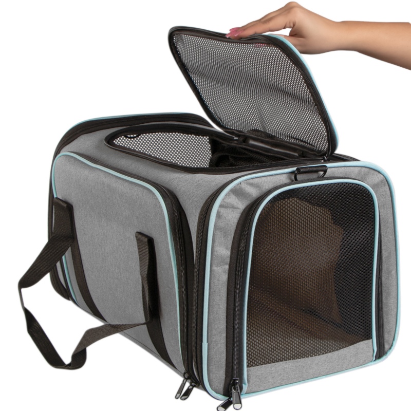 Furrever Friends collapsible carrier for pets