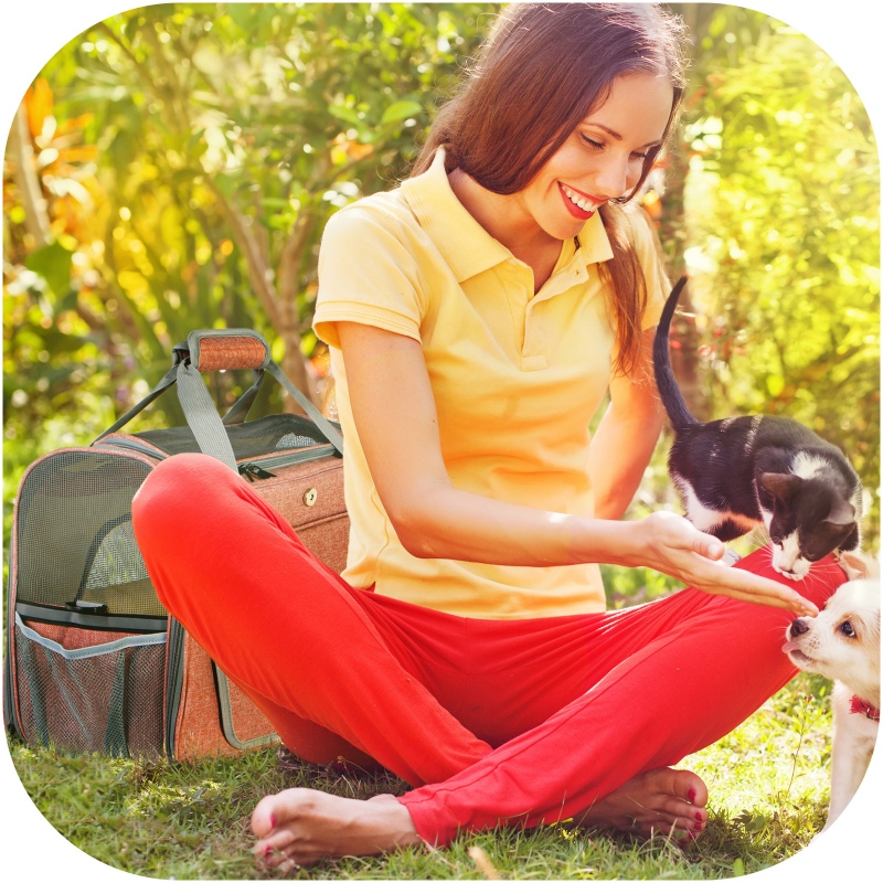 Furrever Friends Hand Citty Bag for pets