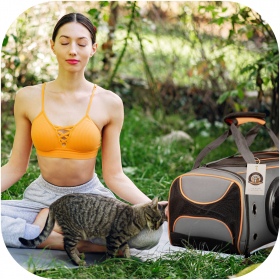 Sac Furrever Friends, transporteur chic pour animaux