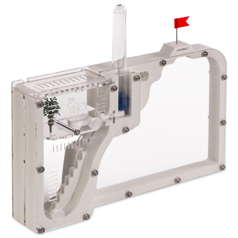 Ant Expert Dwarf Caverns Formicarium