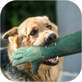 Guantes de cuero 60cm para animales