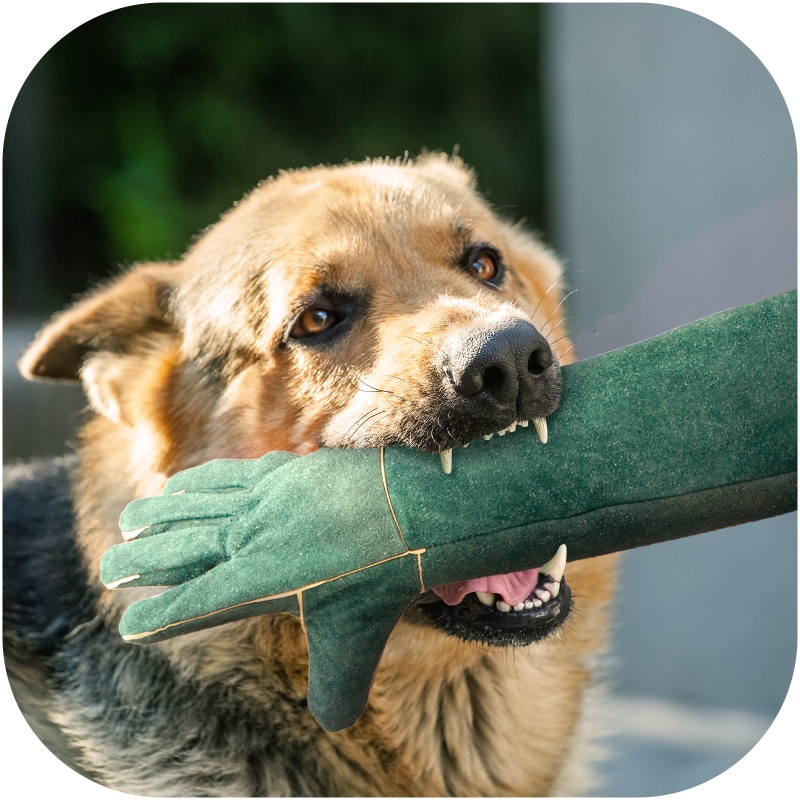 Luvas de proteção de couro para animais