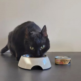 Comfy Mousse mit Rindfleisch für die Katze 85g