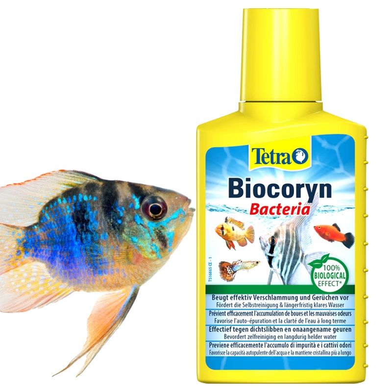 Tetra Biocoryn 100ml för akvarier