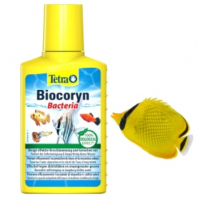 Tetra Biocoryn 100ml - Voor schone aquaria