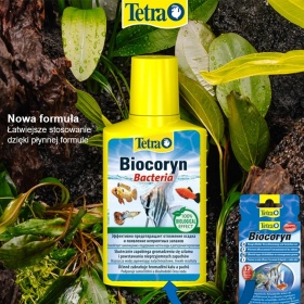 Tetra Biocoryn 100ml - Agente purificador