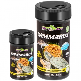 Repti-Zoo Gammarus 100ml - Allikauss