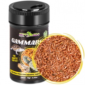 Repti-Zoo Gammarus 100ml - kiełż zdrojowy