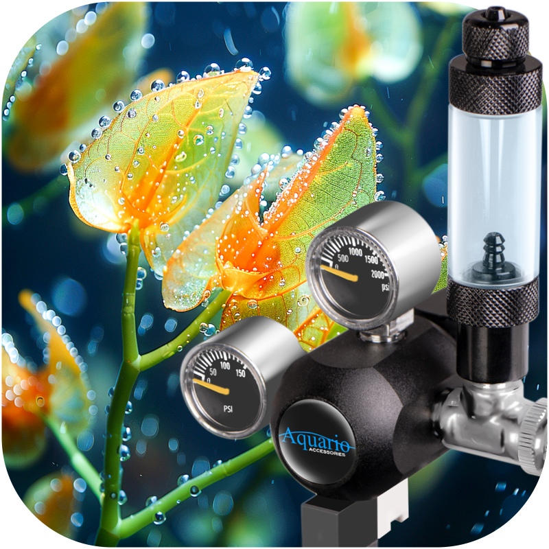 Aquario Professional 2.0 CO2 Set mit Elektromagnetventil